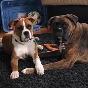 Meet your Posher, Carol